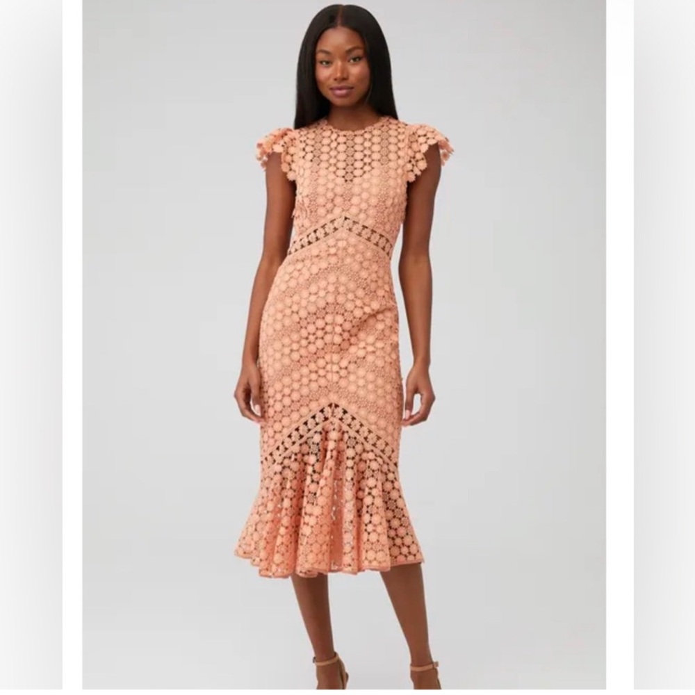Saylor Rouen Dress in peachy blush color‎ Large